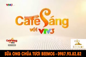 Chương trình Café Sáng VTV3 phỏng vấn trang trại ong BeeMos